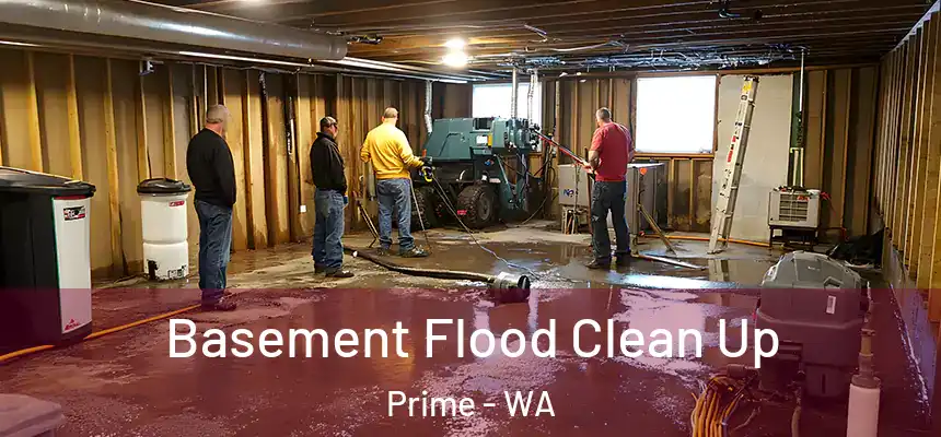  Basement Flood Clean Up Prime - WA