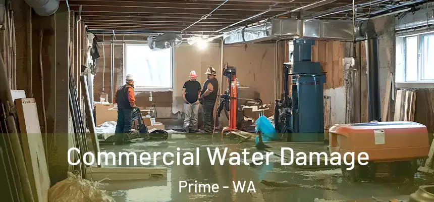 Commercial Water Damage Prime - WA
