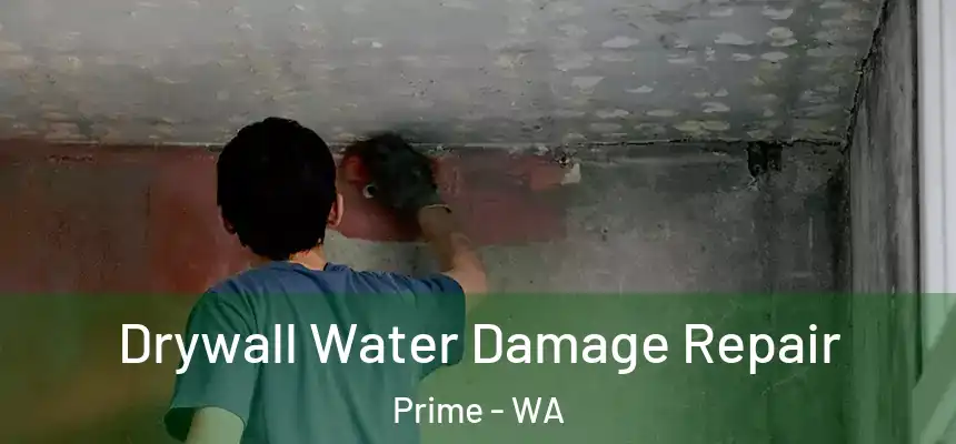  Drywall Water Damage Repair Prime - WA