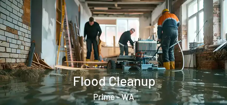  Flood Cleanup Prime - WA