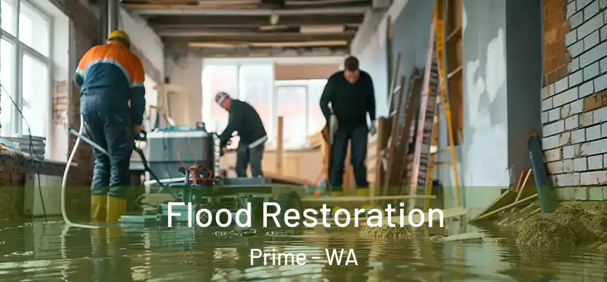  Flood Restoration Prime - WA