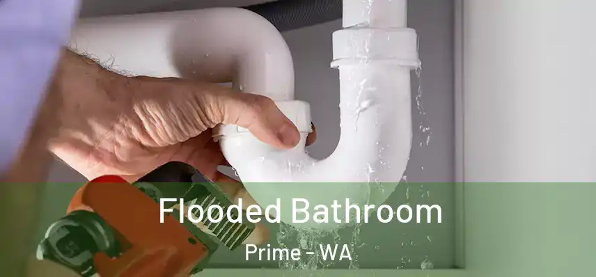  Flooded Bathroom Prime - WA