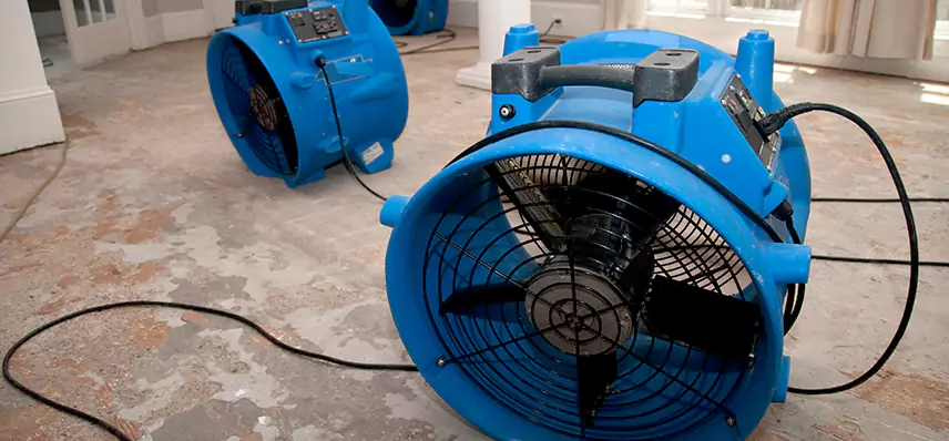 Water Leak Mitigation in Prime