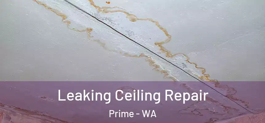  Leaking Ceiling Repair Prime - WA
