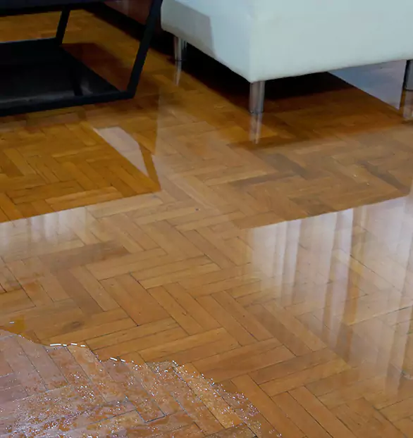 Trusted Emergency Water Restoration Company in Prime, WA