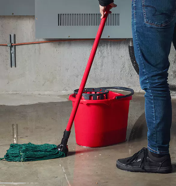 Trusted Sewage Cleanup Company in Prime, WA