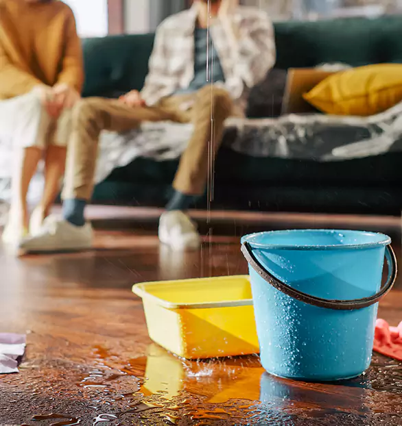 Reliable Water Mitigation Company in Prime, WA