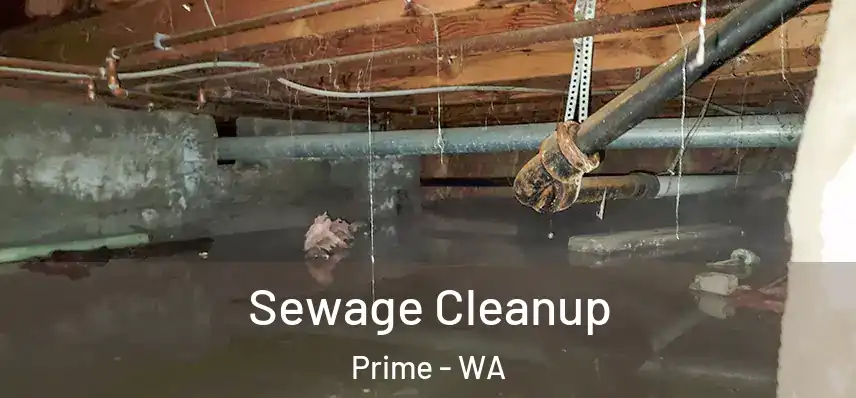  Sewage Cleanup Prime - WA