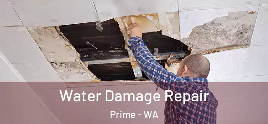  Water Damage Repair Prime - WA