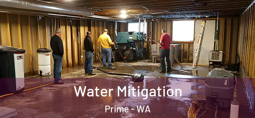  Water Mitigation Prime - WA