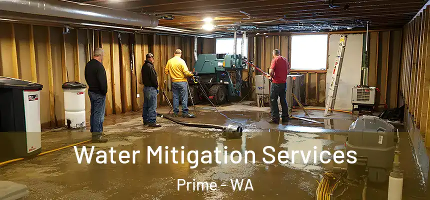  Water Mitigation Services Prime - WA