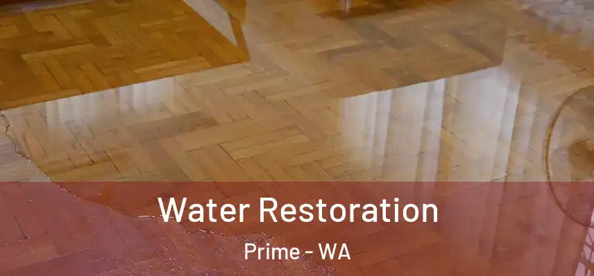  Water Restoration Prime - WA