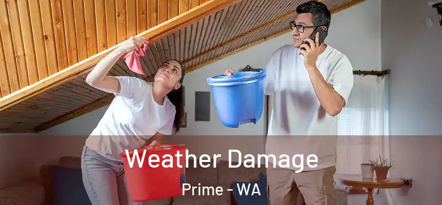Weather Damage Prime - WA